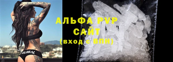 стаф Тобольск