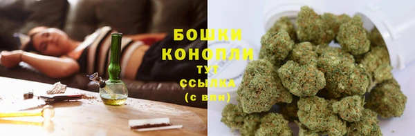 соль ск Туринск
