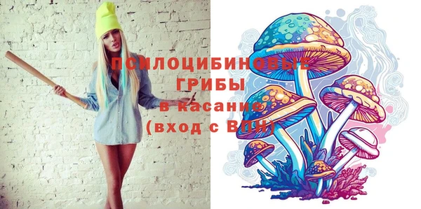 соль ск Туринск