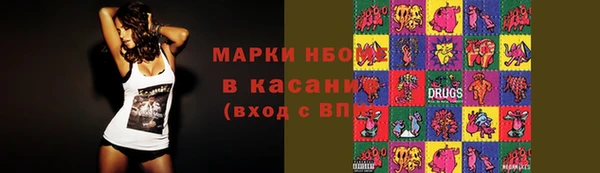 стаф Тобольск