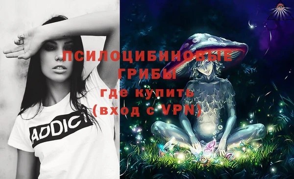 стаф Тобольск