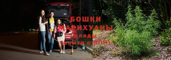 соль ск Туринск